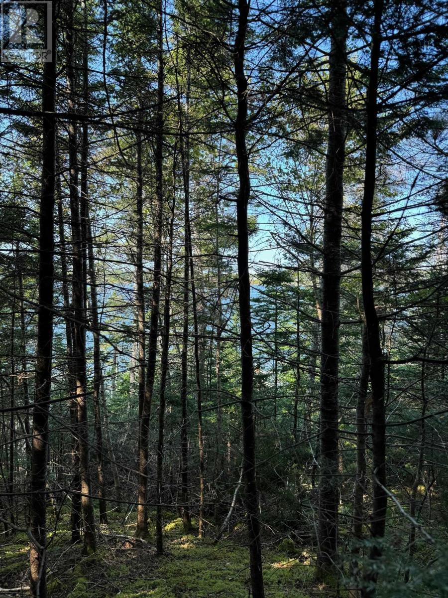 Property 18 of 20 of Lot 15 32 Orion Crescent