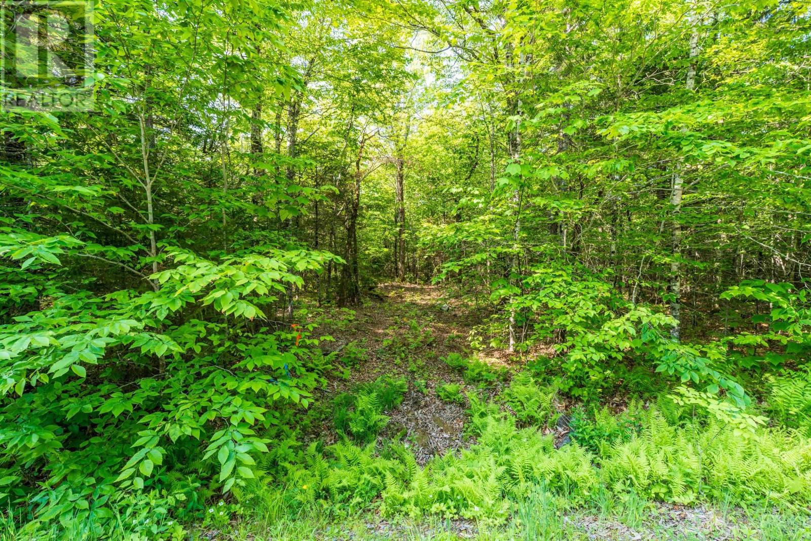 Property 5 of 28 of Lot 2 Chemin Theriault Point Road