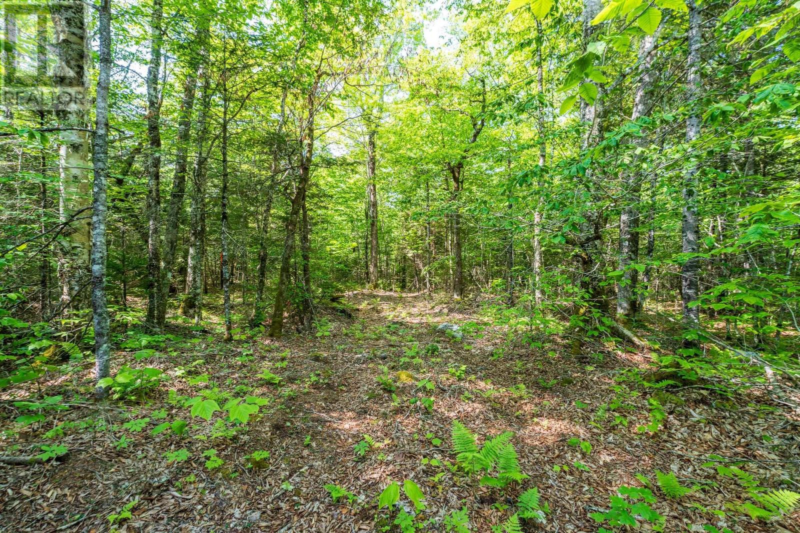 Property 4 of 28 of Lot 2 Chemin Theriault Point Road