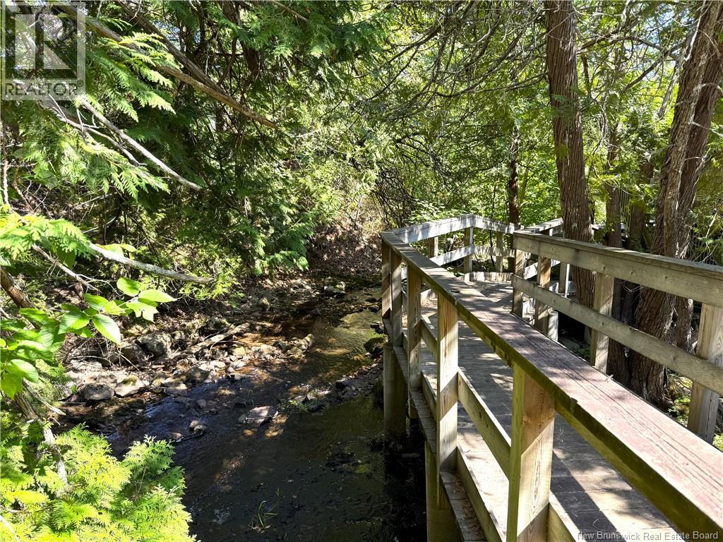 CHAMCOOK LAKE #1 ROAD - Image 32