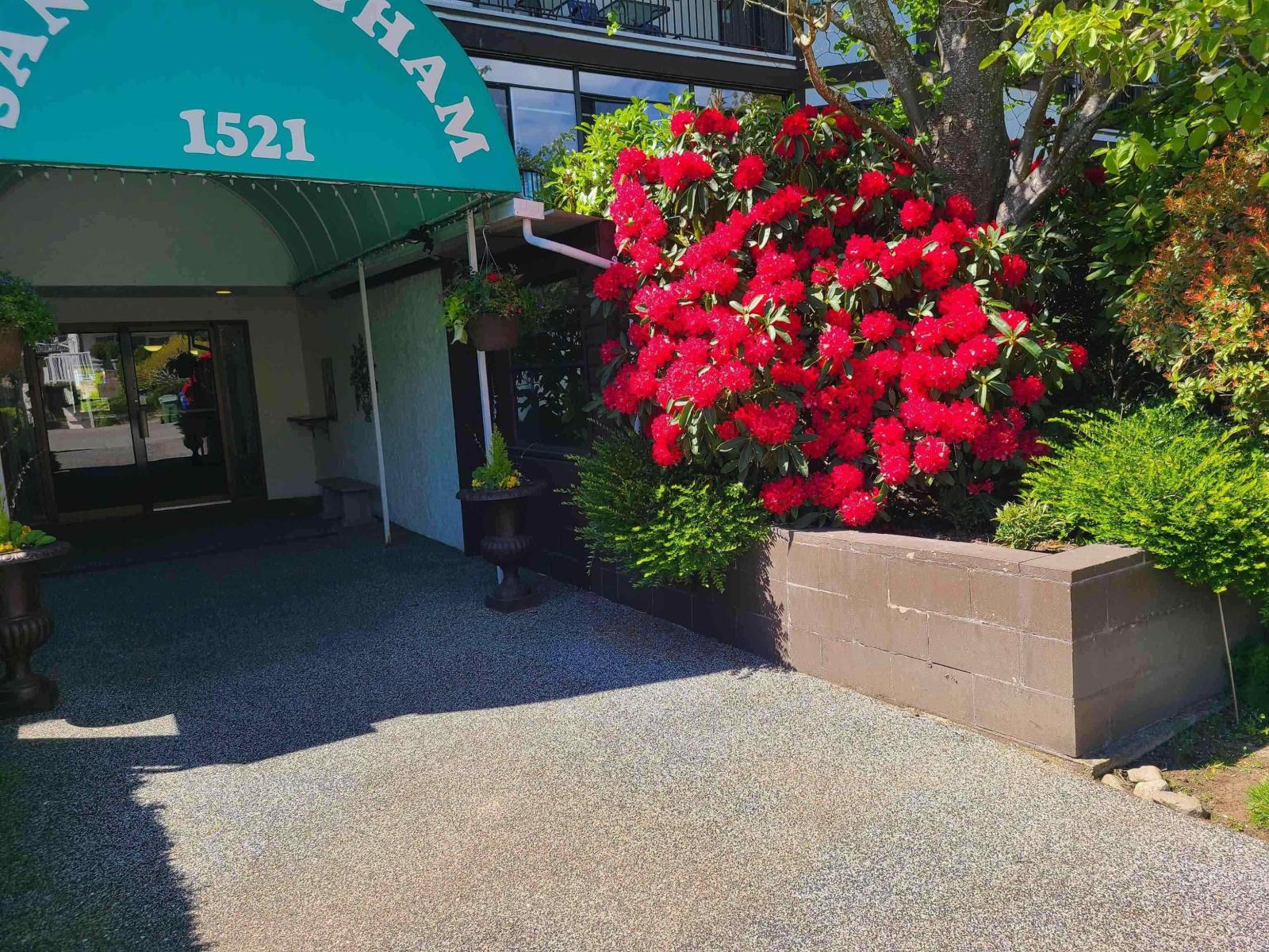 111 1521 BLACKWOOD STREET, White Rock