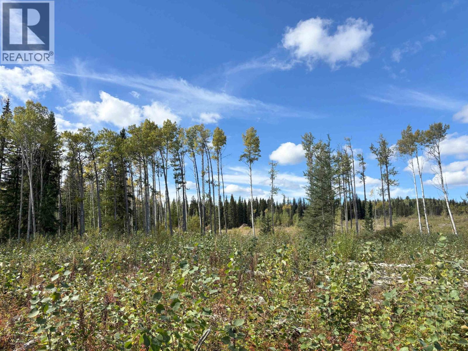 Vacant Land in Endako - Image 13