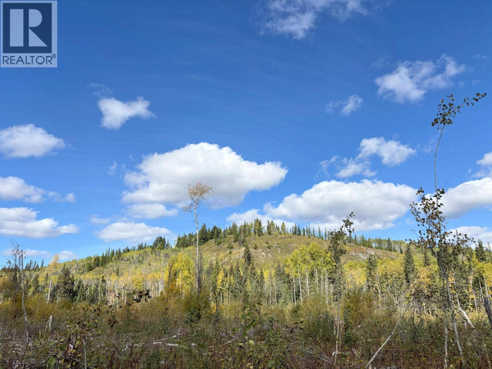 Vacant Land in Endako - Image 4
