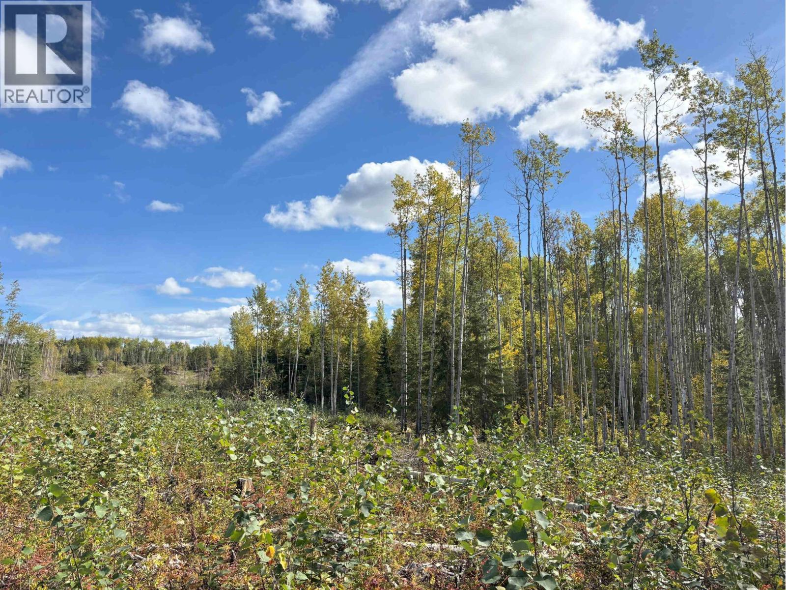 Vacant Land in Endako - Image 14
