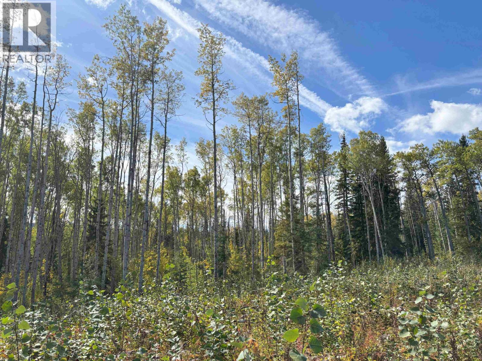Vacant Land in Endako - Image 3