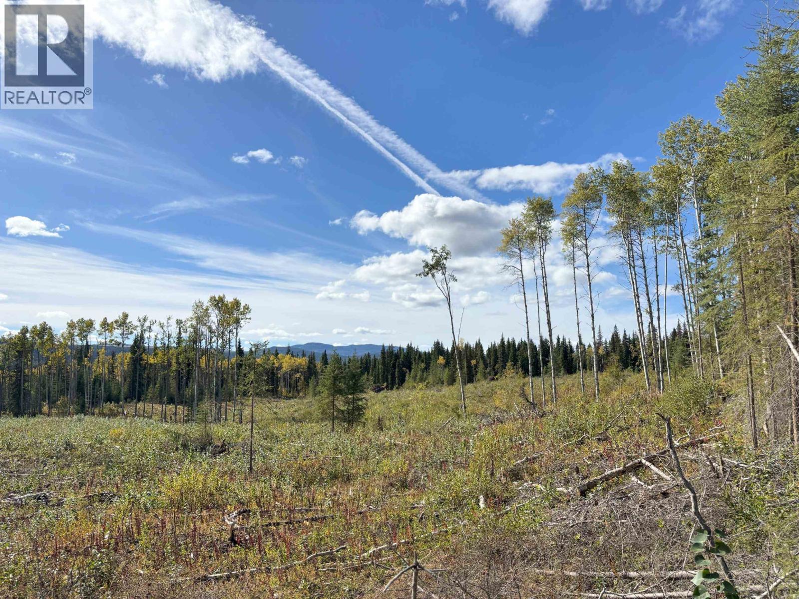 Vacant Land in Endako - Image 8