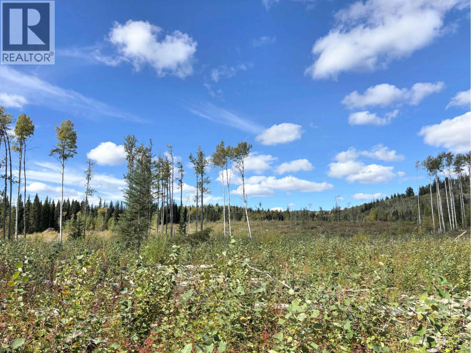 Vacant Land in Endako - Image 12
