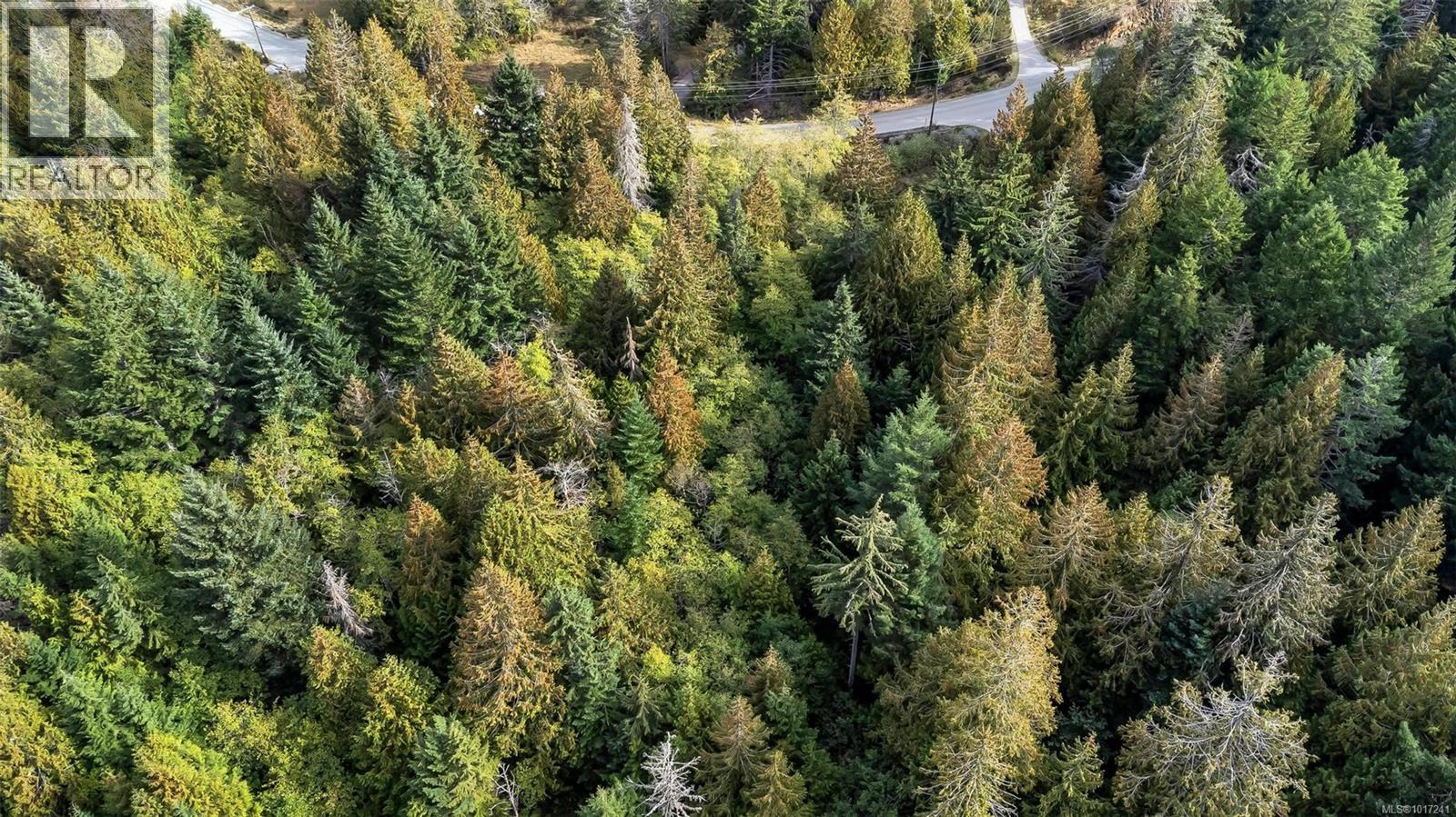 165 Okotoks Rd, Malahat