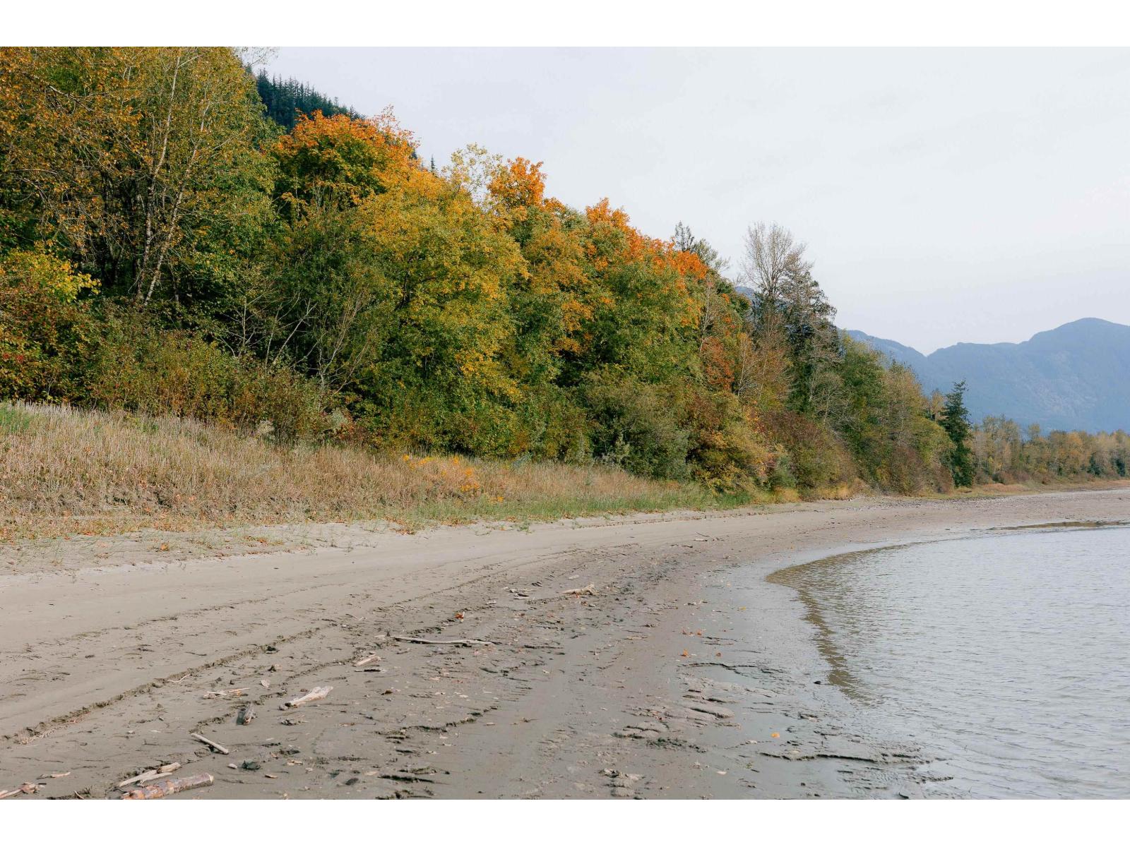 SE 1/4 VASASUS ISLAND, Agassiz, Agassiz