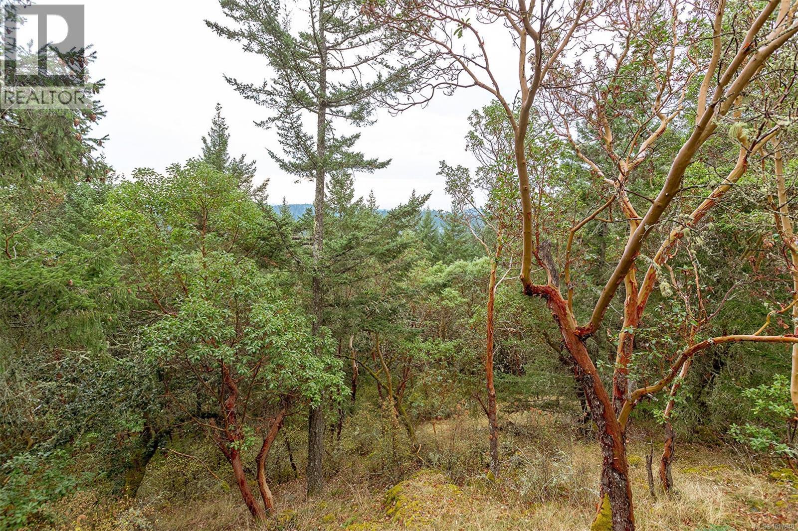  3715 Munn Road, Highlands