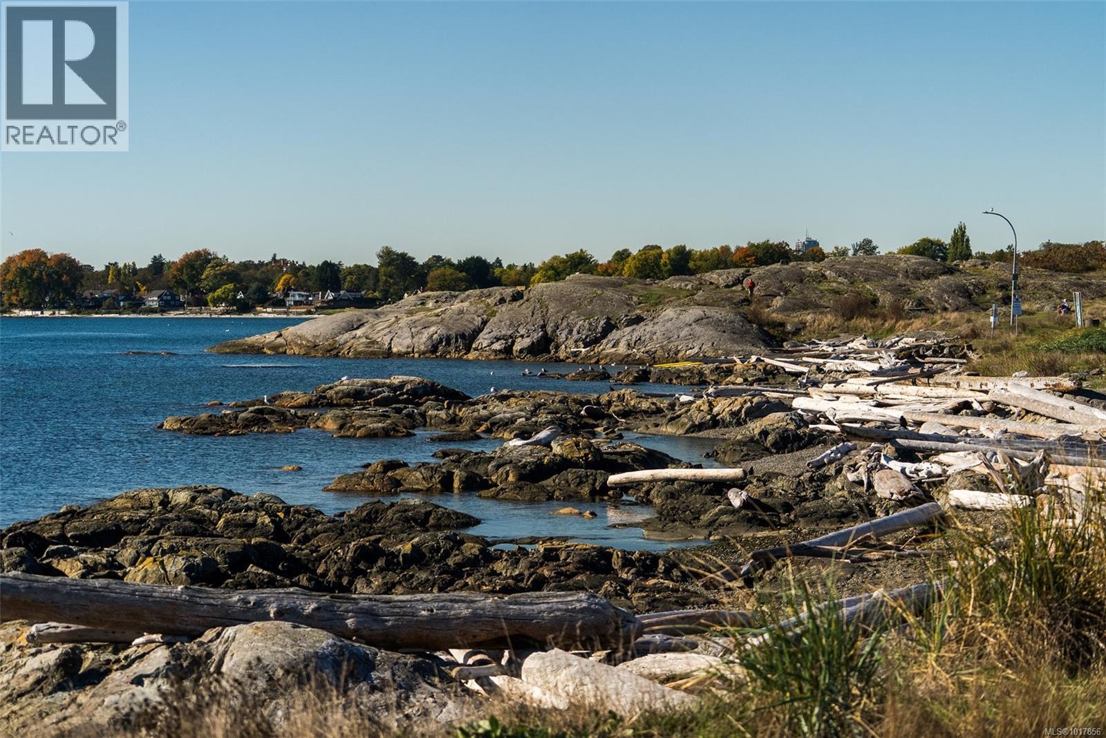  3315 Ripon Road, Oak Bay