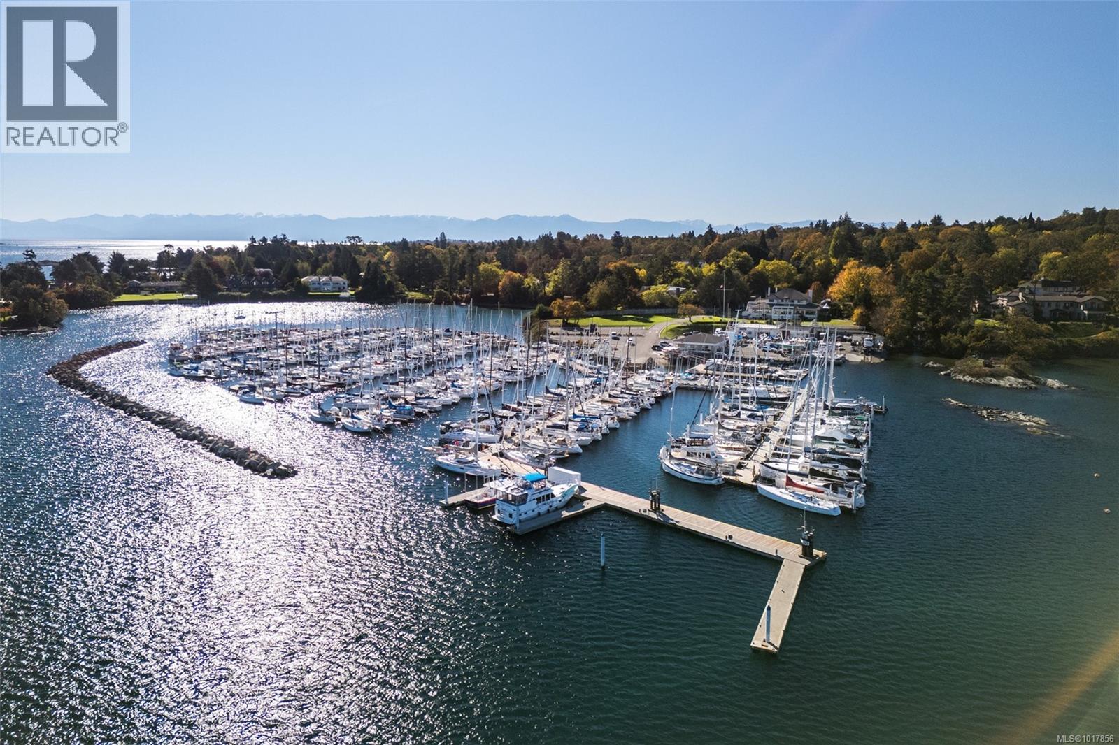  3315 Ripon Road, Oak Bay