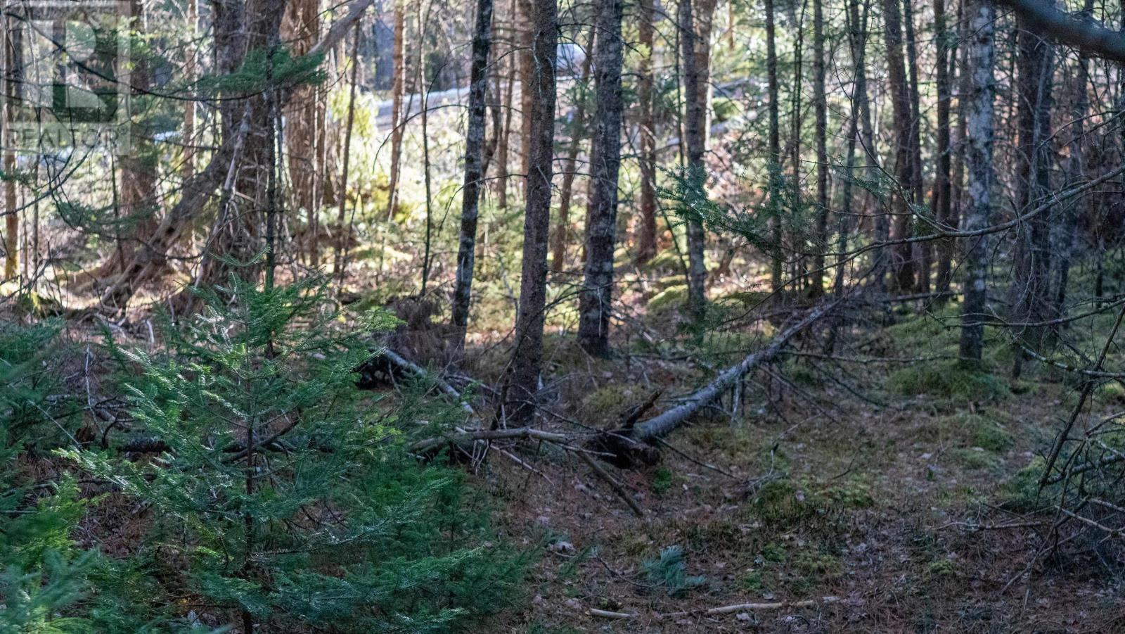 Property 18 of 27 of Lot SS-1 Maple Drive