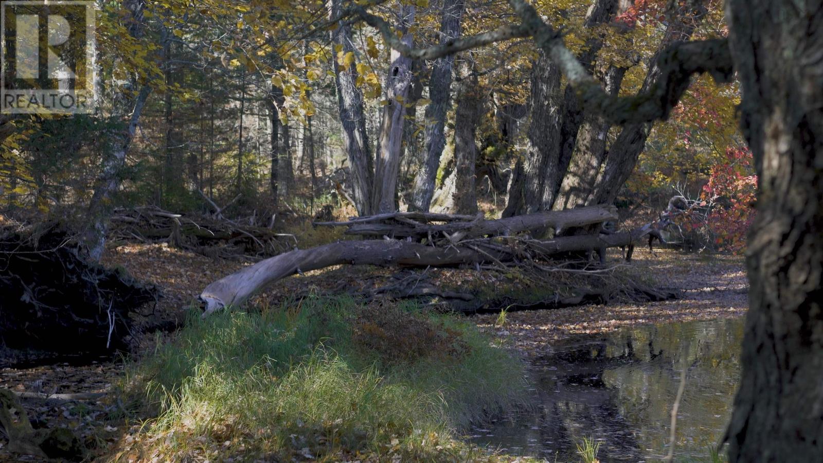 Property 17 of 28 of Lot SS-2 Maple Drive