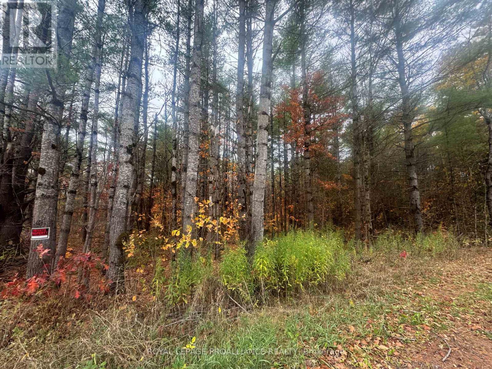 945 SHANICK ROAD - Photo 3 of 6, Marmora and Lake (Marmora Ward), Ontario