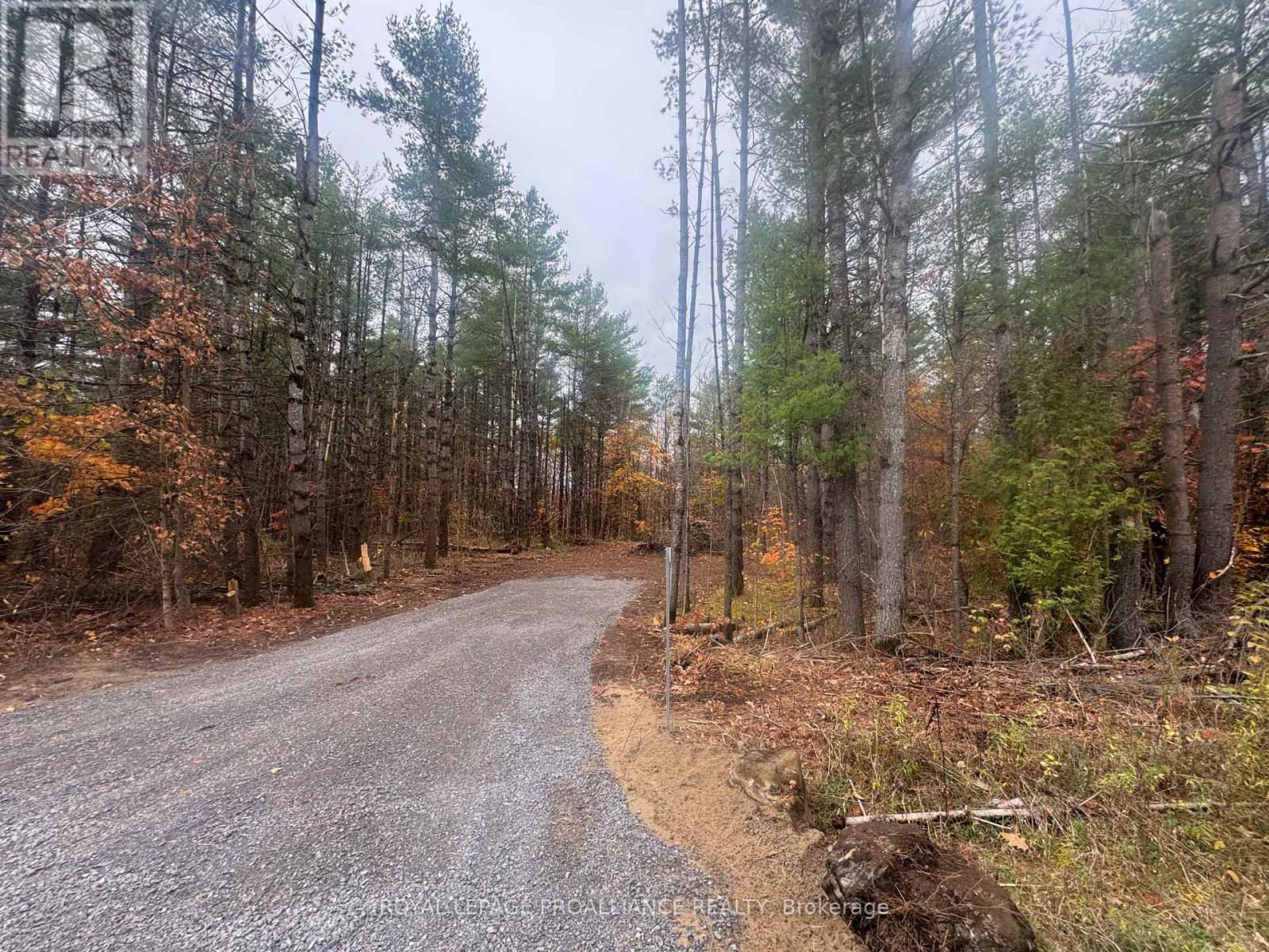 945 SHANICK ROAD - Photo 5 of 6, Marmora and Lake (Marmora Ward), Ontario