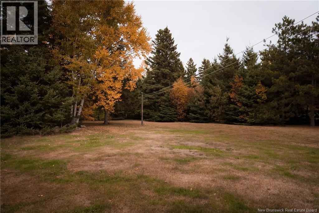 8171 ROUTE 313 ROUTE - 21