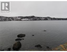 43 Cove Road thumbnail 8
