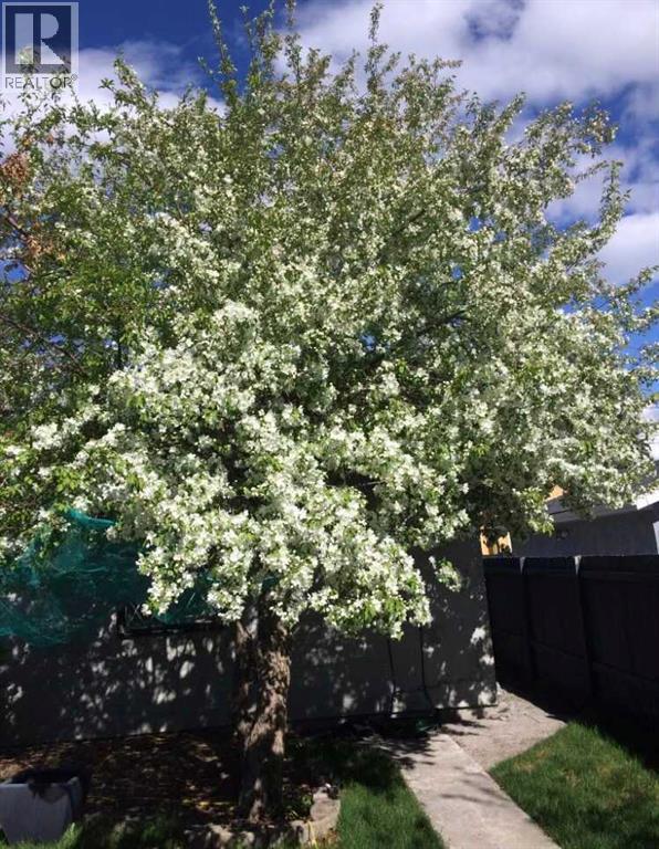 Single Family House for Sale in   Street NW Bowness Calgary 
