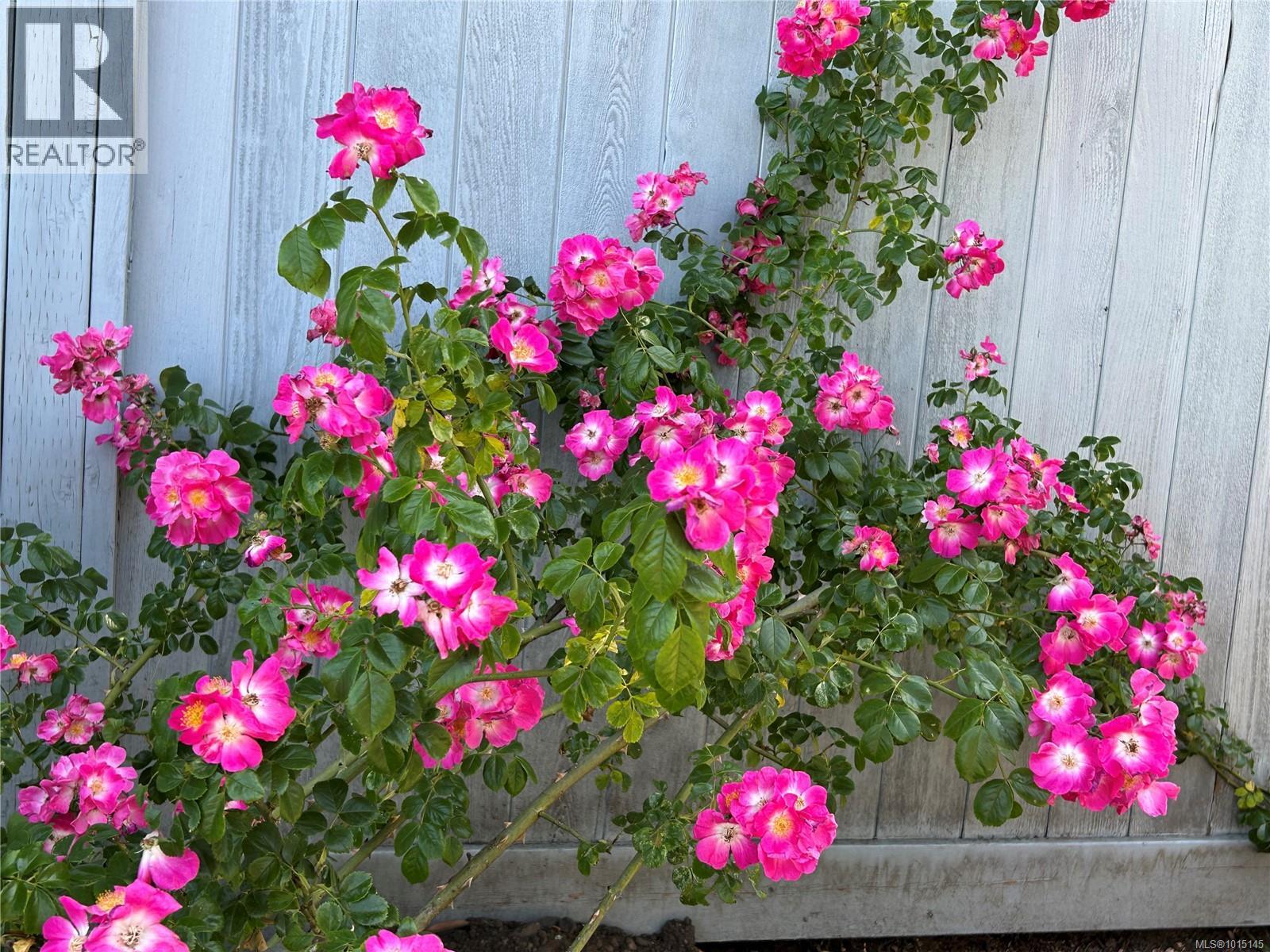 7694 Lantzville Rd, Lantzville