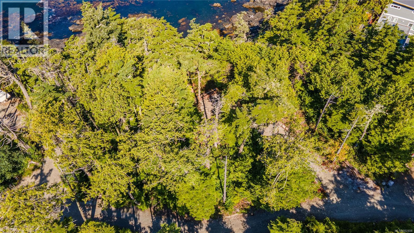 392 Reef Point Rd, Ucluelet