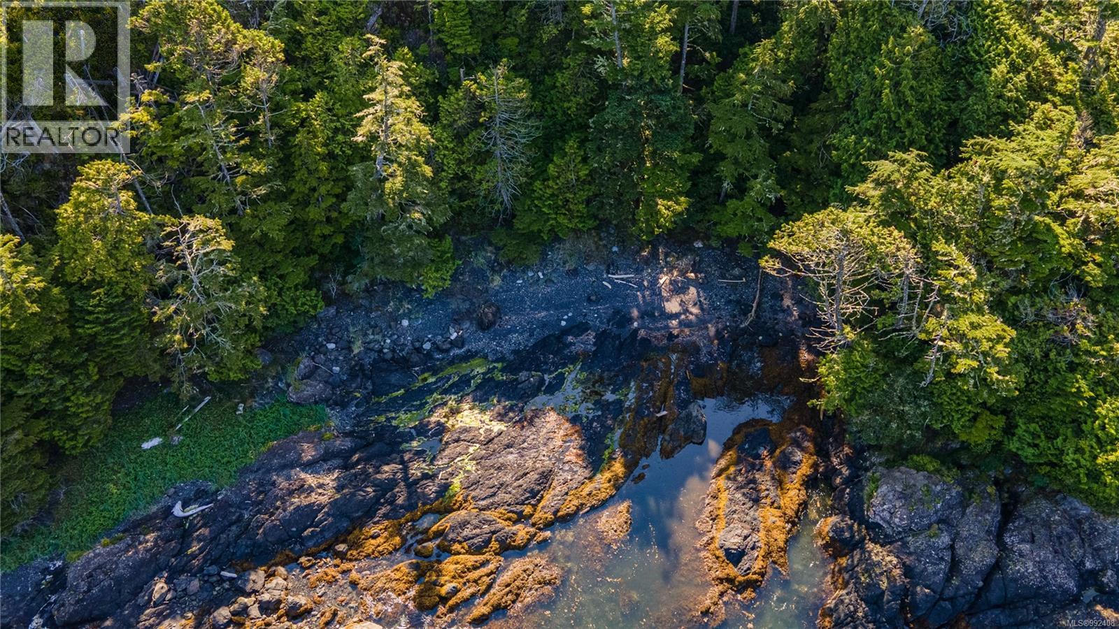 392 Reef Point Rd, Ucluelet