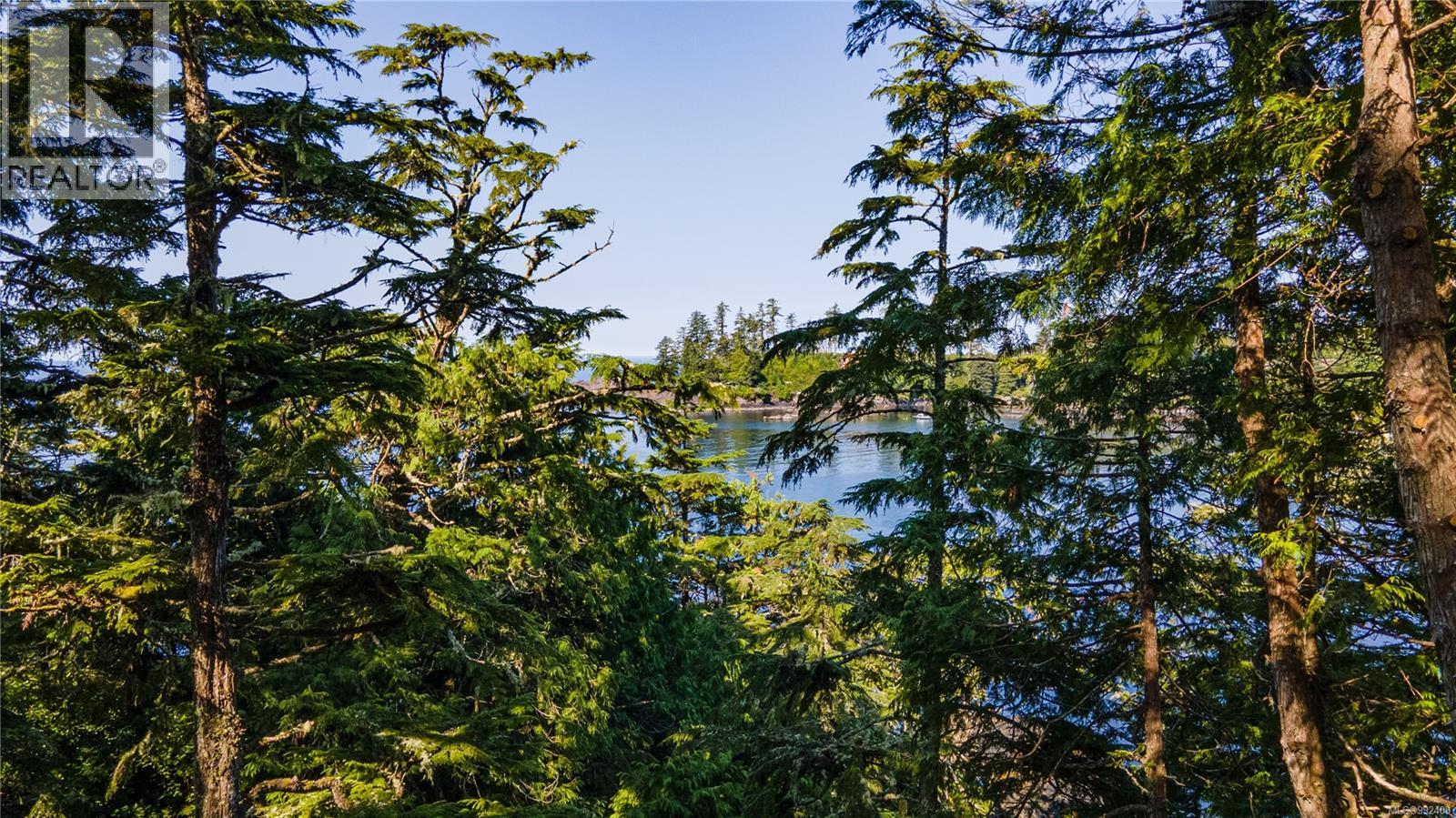 392 Reef Point Rd, Ucluelet