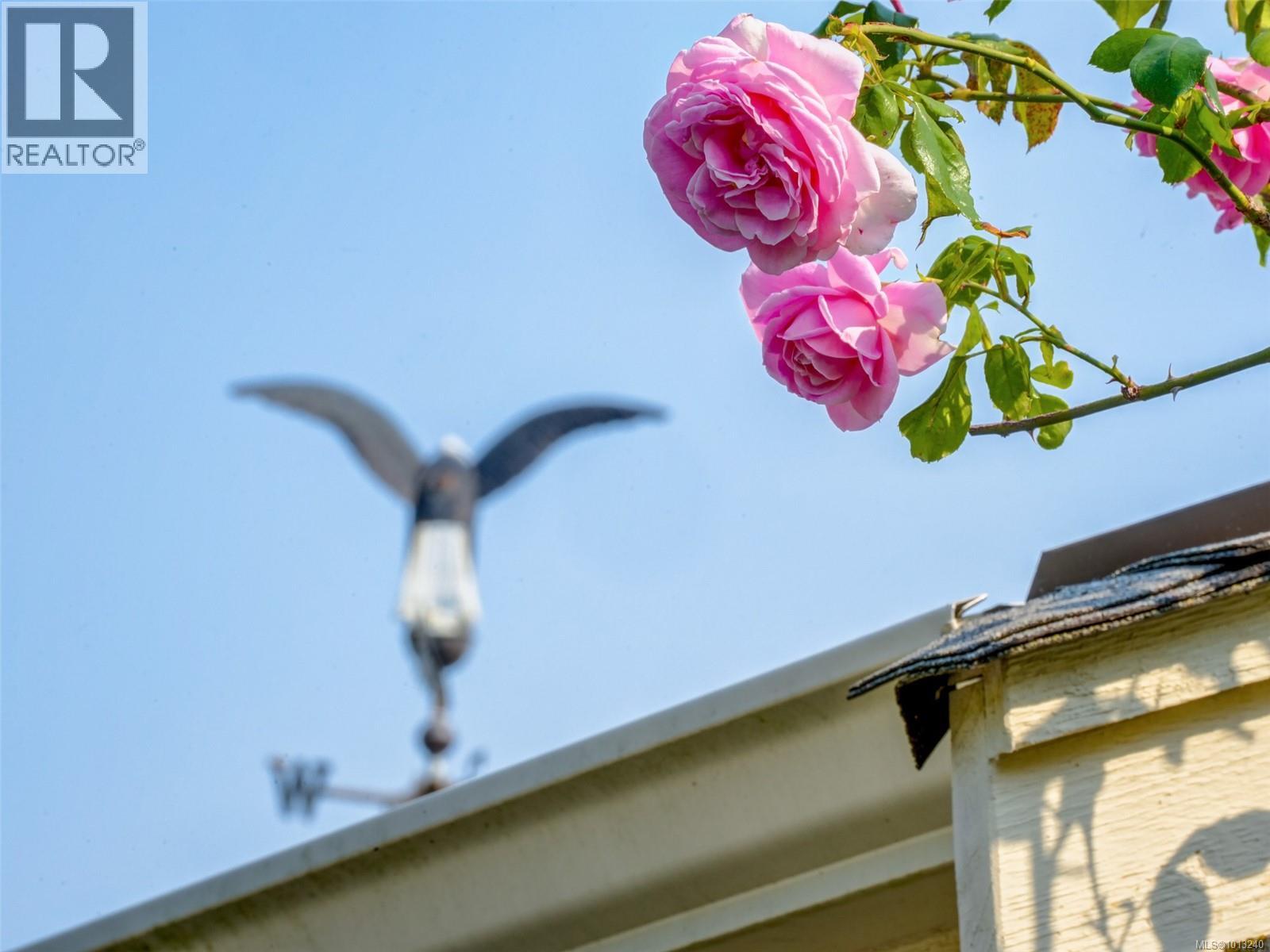 1974 Hovey Rd, Central Saanich