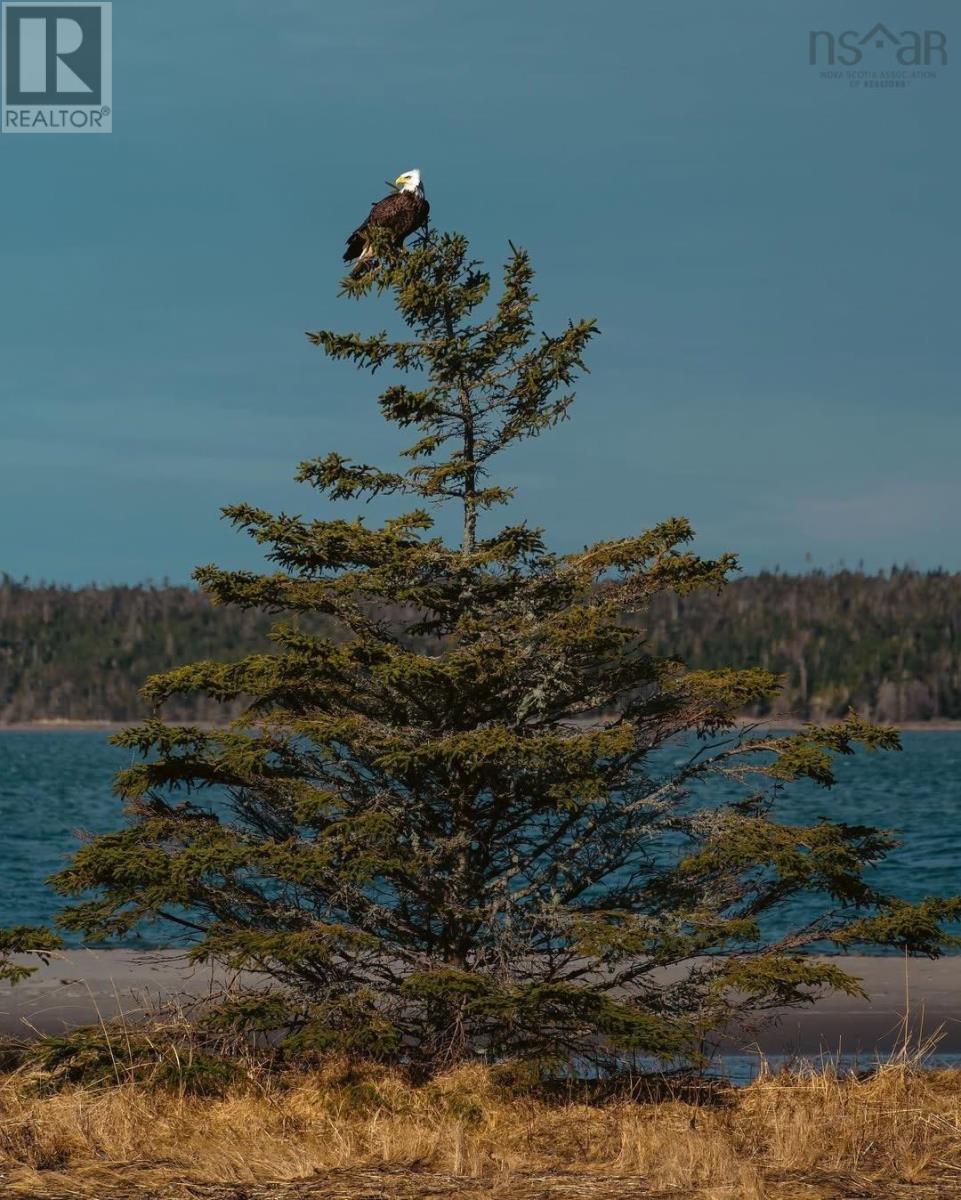 Property 2 of 37 of Lot M2 East Petpeswick Road