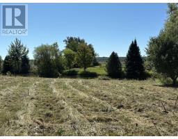 Lot 26 Principale Street, Alfred And Plantagenet, ON K0A3K0 Photo 13