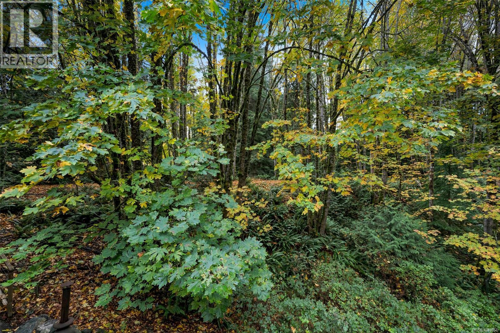 2590 Sooke River Rd, Sooke