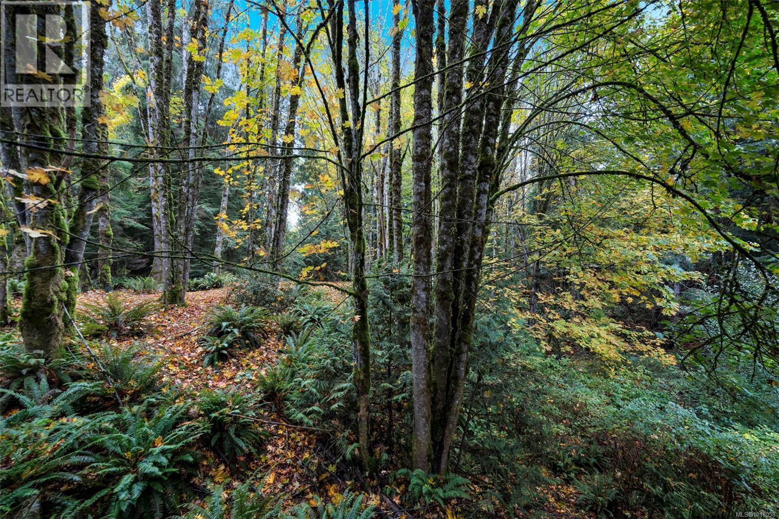 2590 Sooke River Rd, Sooke