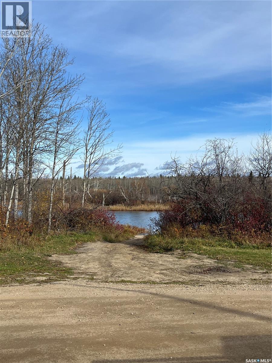 6 Delaronde AVENUE - 17