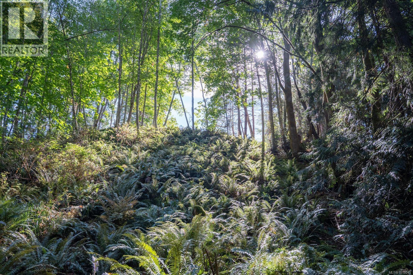 1189 Lee Rd, Parksville