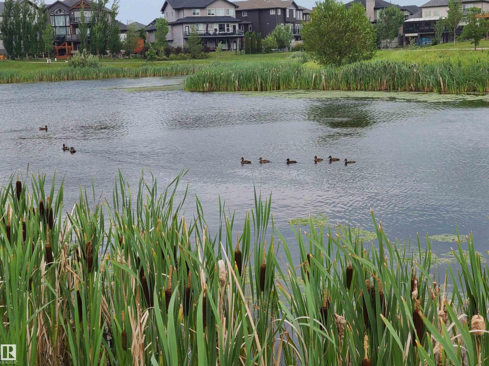 #24 104 ALLARD LI SW, Edmonton