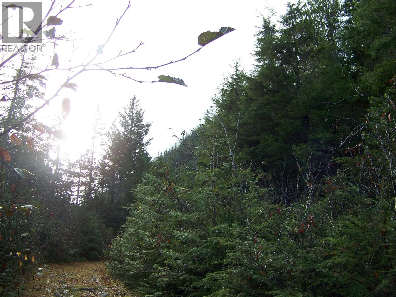 Vacant Land in Bella Coola - Image 20