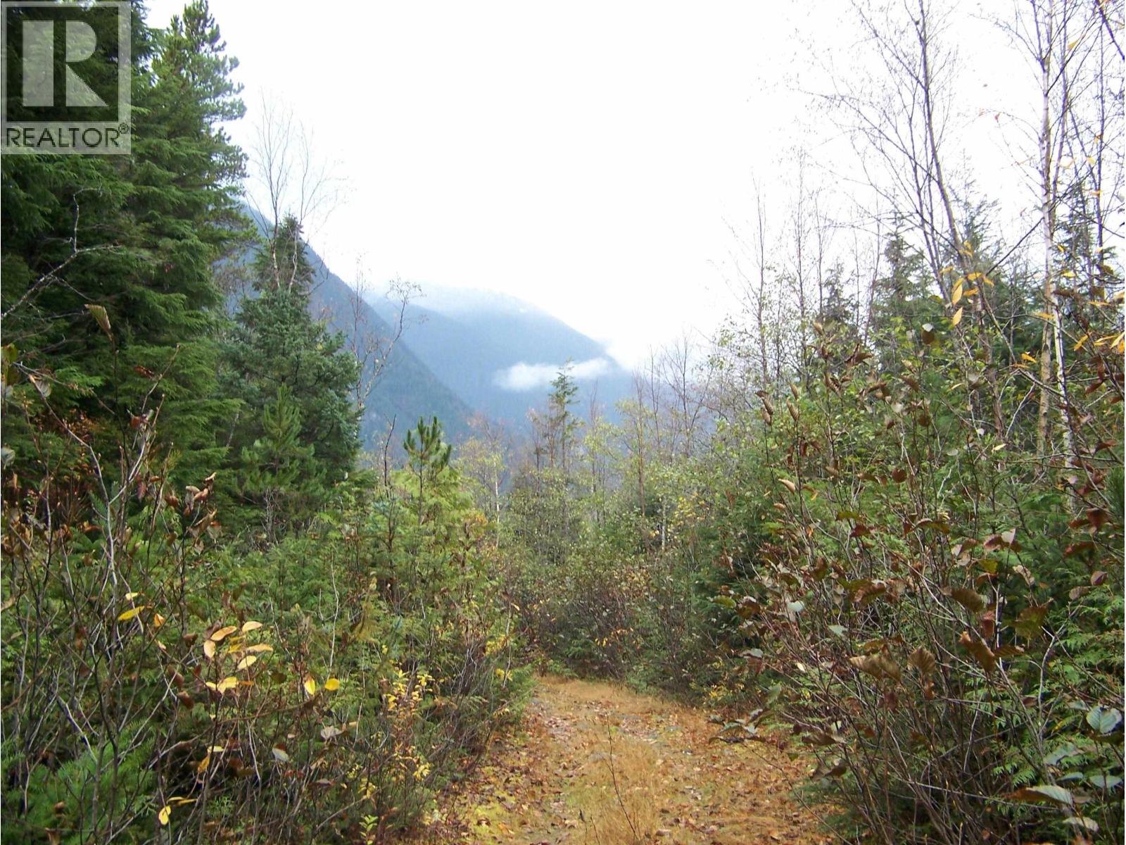 Vacant Land in Bella Coola - Image 9