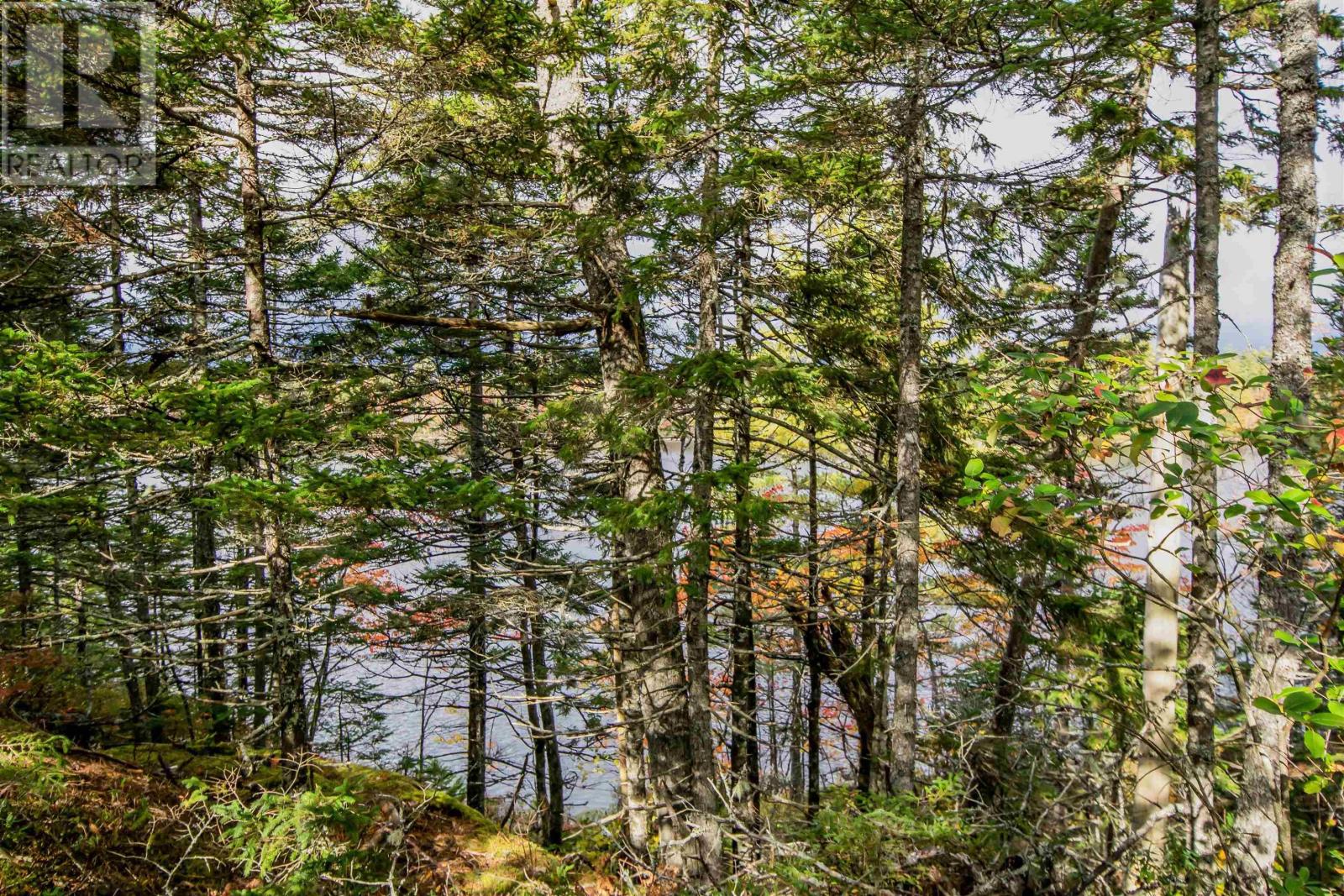 Property 5 of 24 of Lot 44 Meek Arm Trail