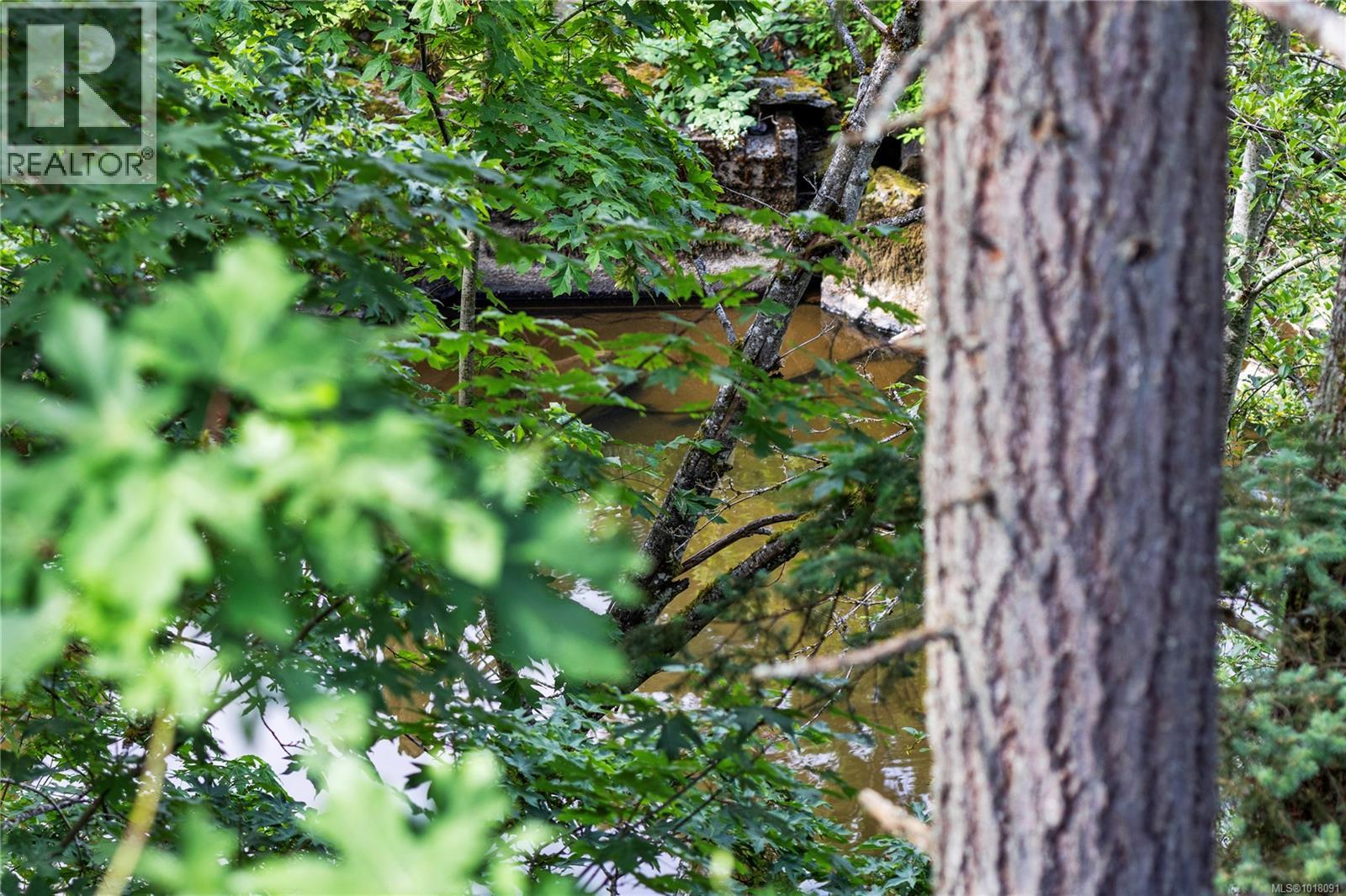 10 111 Wall St, Nanaimo