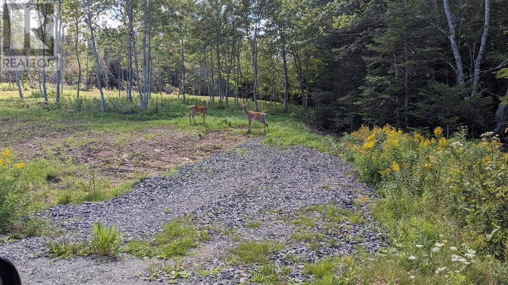 Property 10 of 18 of Lot 4 French Cove Road