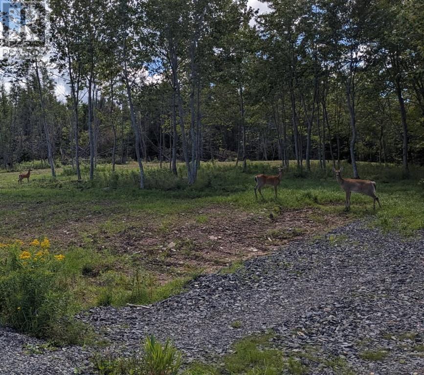 Property 11 of 18 of Lot 4 French Cove Road