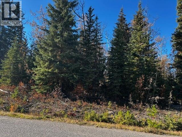 LOT 4 WALLACE Road, Burns Lake