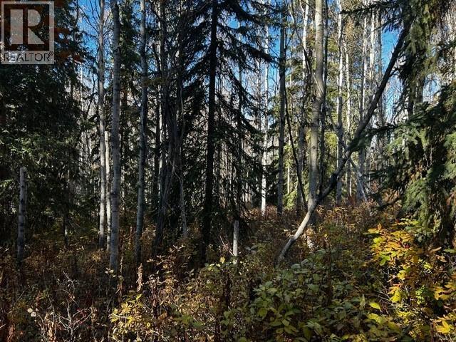 LOT 4 WALLACE Road, Burns Lake