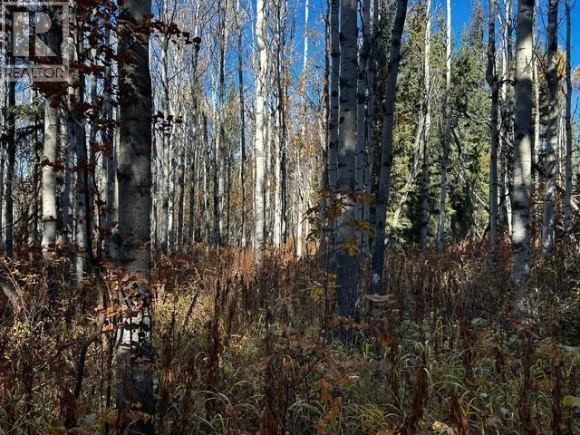 LOT 4 WALLACE Road, Burns Lake