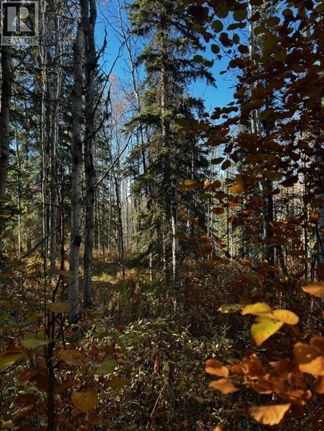 LOT 4 WALLACE Road, Burns Lake