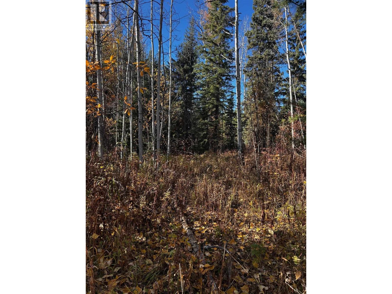 LOT 1 RUFFEL Road, Burns Lake