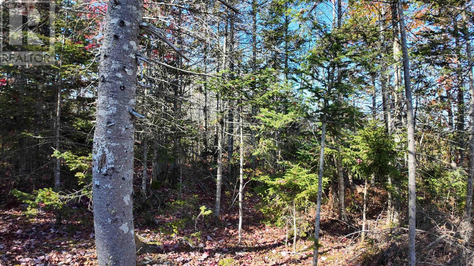 Property 7 of 23 of Lot 2023 Hampton Mountain Road