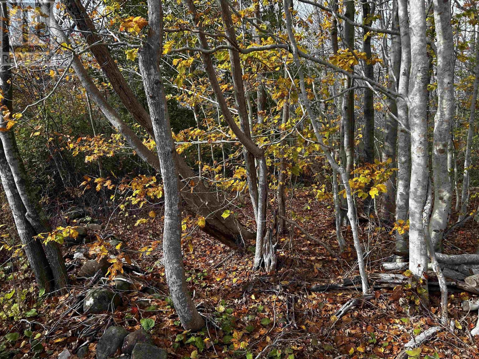 Property 13 of 24 of Lot Granville Road