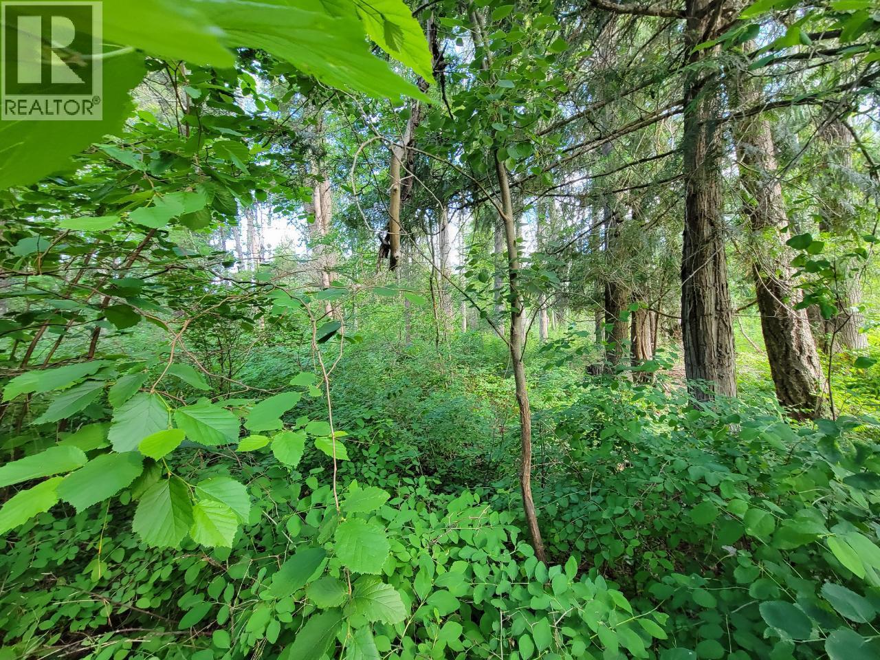 LOT 1 PASSMORE OLD ROAD - 14