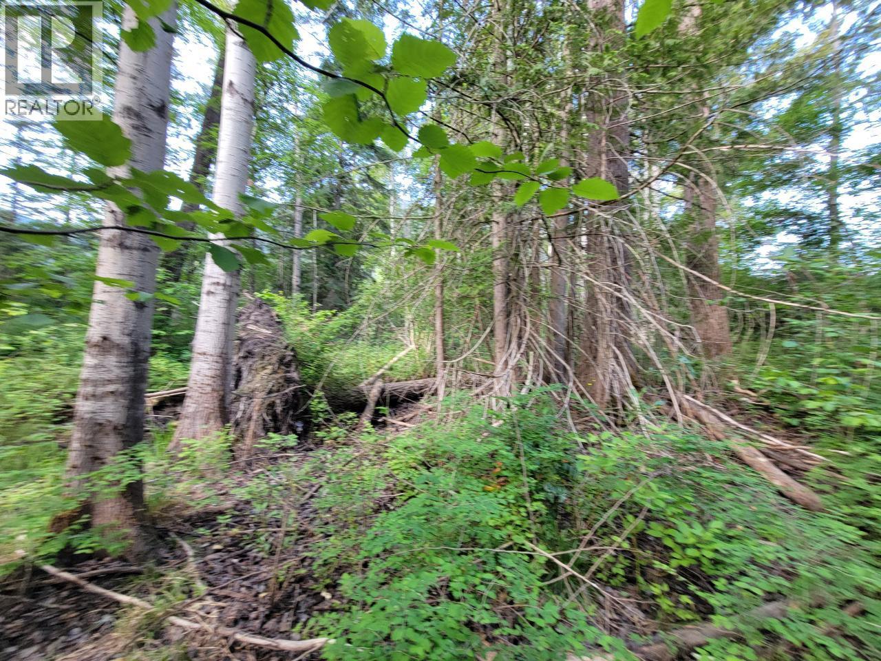 LOT 1 PASSMORE OLD ROAD - 19